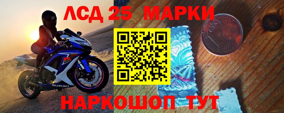где купить наркотик  Марки N-bome 1500мкг  Будённовск  Наркотические марки  Вход с VPN  Марки N-bome 1500мкг 