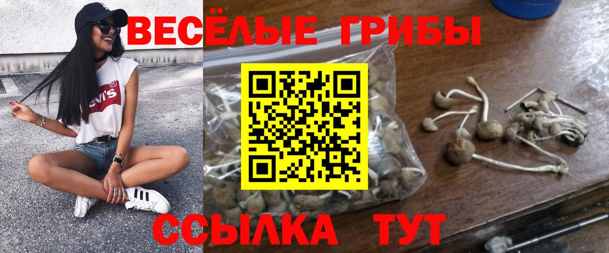 Псилоцибиновые грибы ЛСД  купить закладку  Будённовск  Псилоцибиновые грибы мицелий  Вход с VPN 