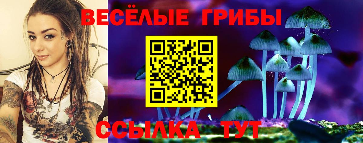 Галлюциногенные грибы GOLDEN TEACHER Будённовск